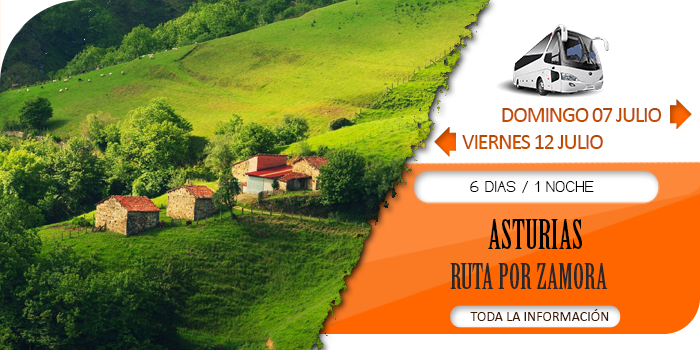 Circuito en Autobús para Grupos :: Asturias :: Ruta por Zamora :: Zenit Dos Infantas 4* :: Begoña 3* :: 6 Días