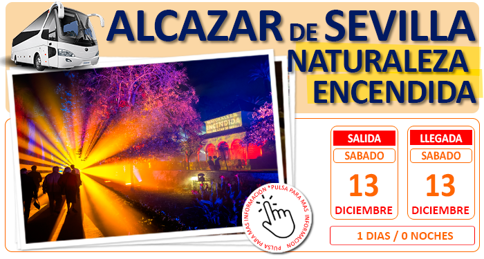 Excursion en Autocar para Grupos :: Naturaleza Encendidad :: Real Alcazar de Sevilla :: 1 Día