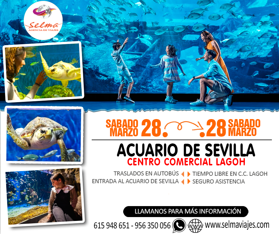 Circuito en Autocar para Grupos :: Acuario de Sevilla :: Centro Comercial Lagoh :: 1 Día