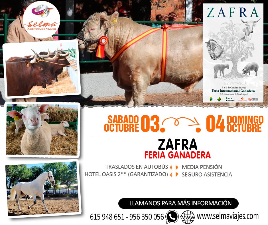 Circuito Cultural en Autobús para Grupos :: Zafra :: Feria Ganadera :: Hotel 2** en Jerez de la Frontera :: Media Pensión :: 2 Días