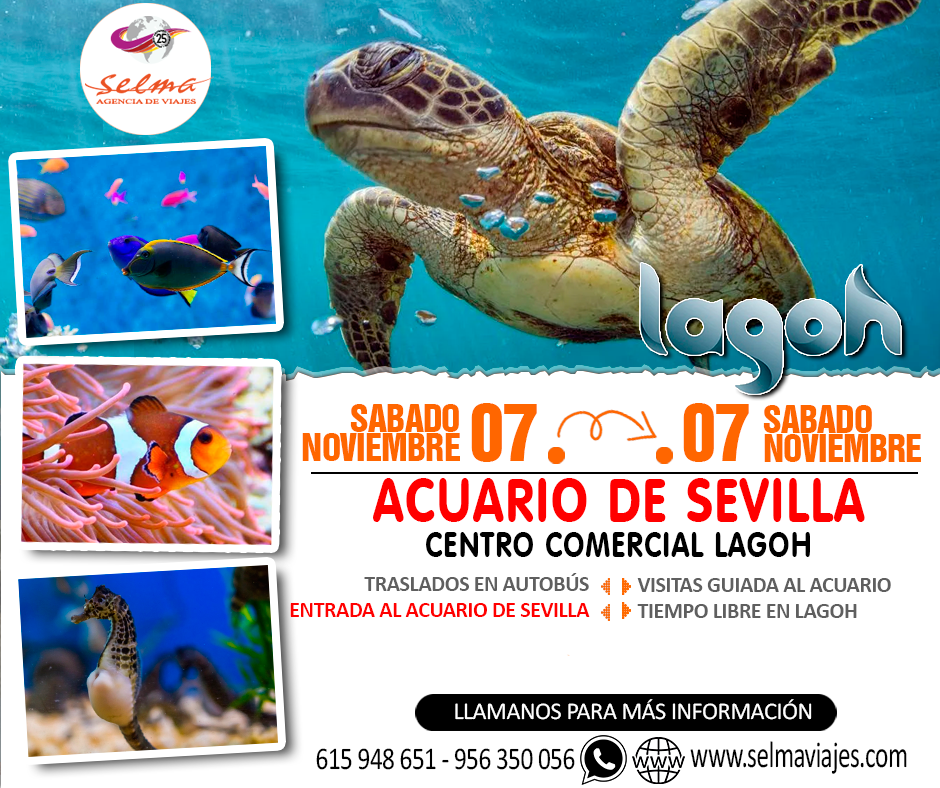 Excursion Cultural Cultural en Autobús para Grupos :: Acuario de Sevilla :: Centro Comercial Lagoh :: 1 Día